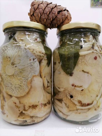 Грибы грузди