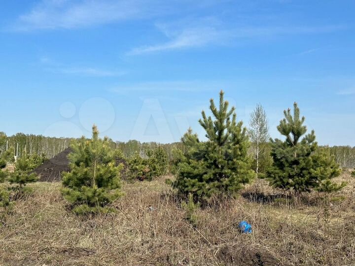 Участок 7 сот. (ИЖС)