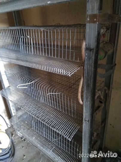 Клетка для птиц
