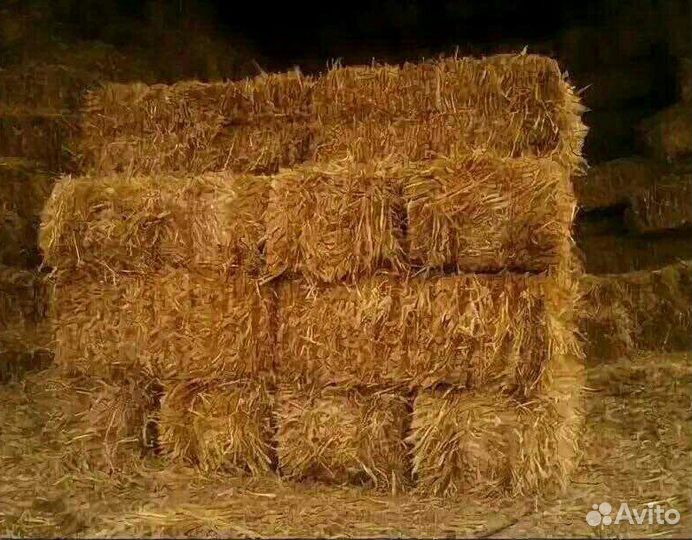 Солома в городе