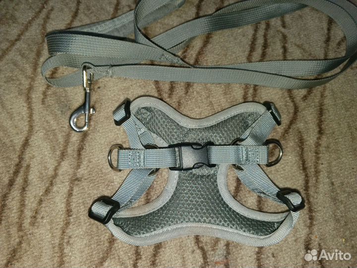 Шлейка для маленьких собак и кошек