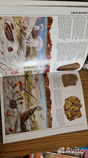 Атлас доисторический мир нас английском