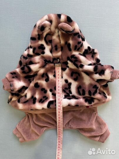 Одежда для маленьких собак