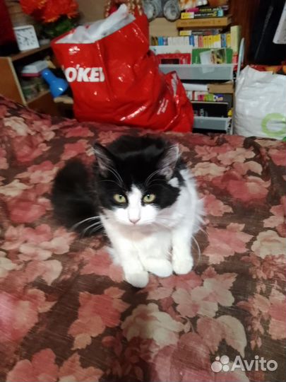 Девочка с дачи