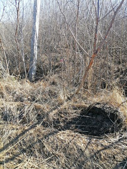 Участок 12,2 сот. (ИЖС)