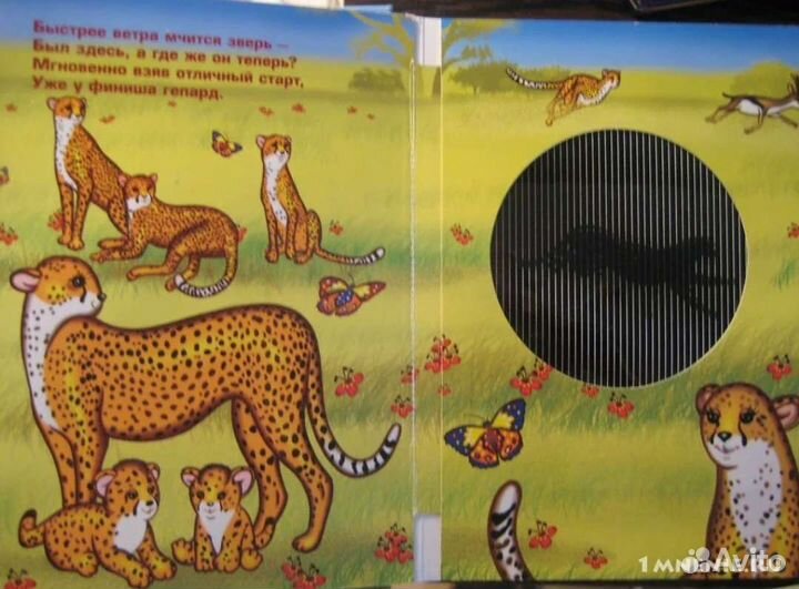 Книга для детей