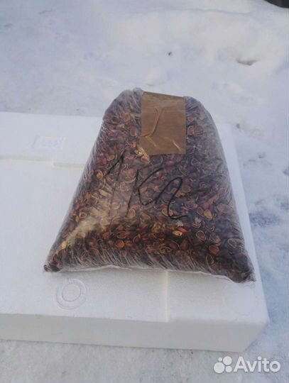 Скорлупа кедрового ореха