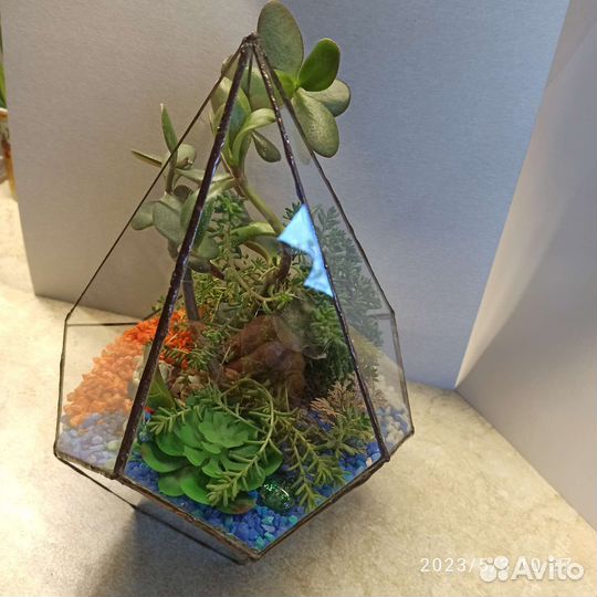 Флорариум 20 на 25 см