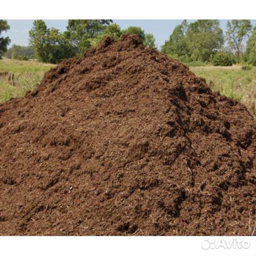 Конский навоз