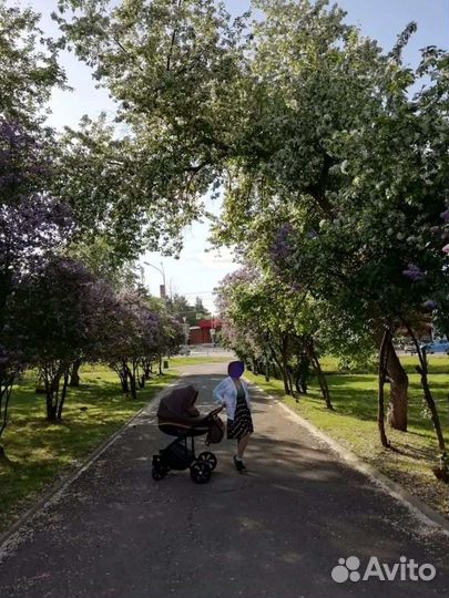 Коляска zippy 3в1 tutis mimi style