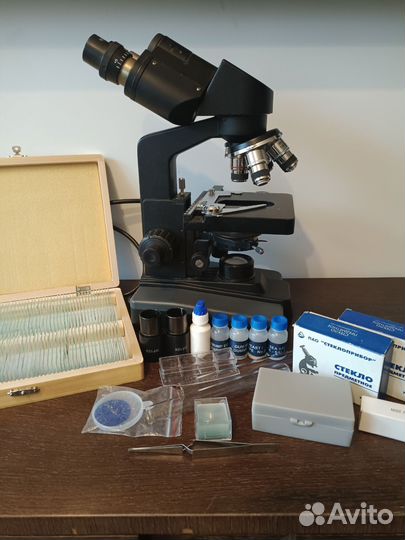 Микроскоп levenhuk бинокулярный