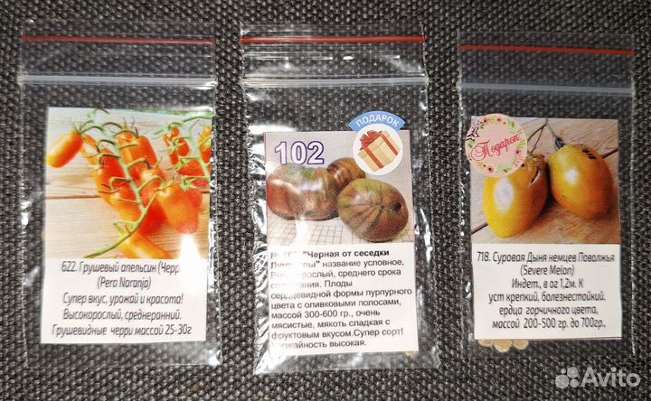 Рассада помидор