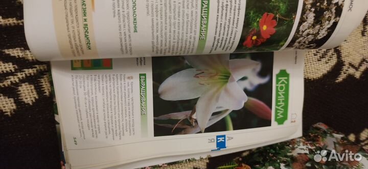 Подборка журналов 