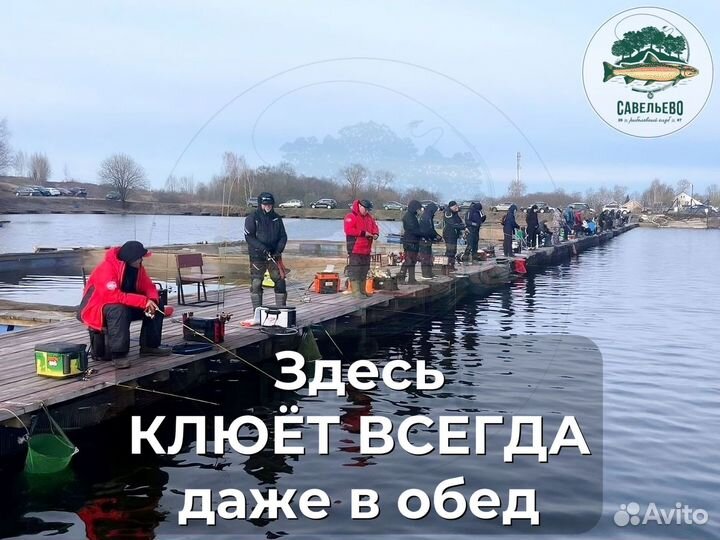 Платная рыбалка на Форель и др.рыбу в Подмосковье