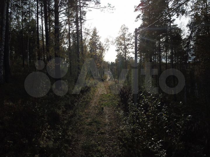 Участок 18,6 сот. (СНТ, ДНП)