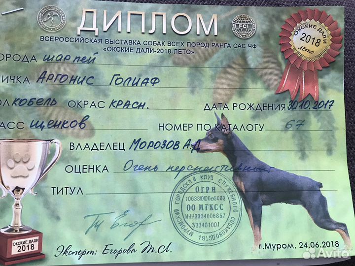 Вязка шарпея