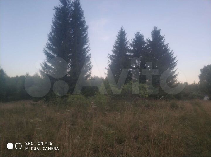 Участок 12 сот. (СНТ, ДНП)