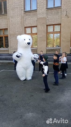 Белый мишка поздравление ростовой медведь аниматор