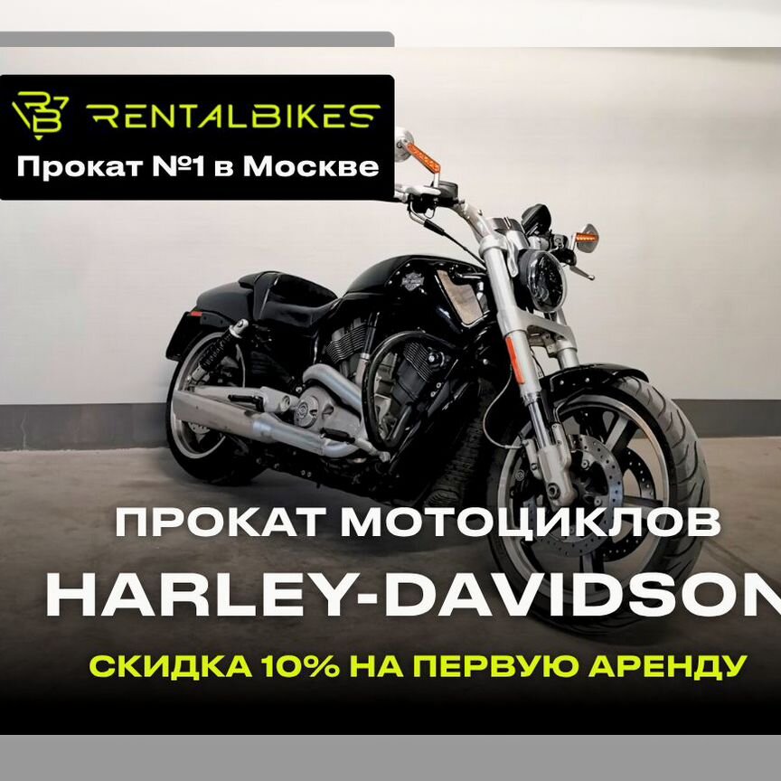 harley davidson - Услуги и сервисы в Москве | Поиск
