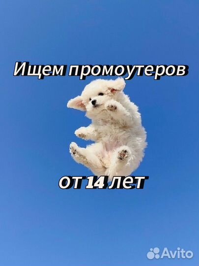 Промоутер от 14 лет