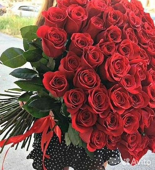 Розы Высокие 150см 160см 170см 180см 190см 2м