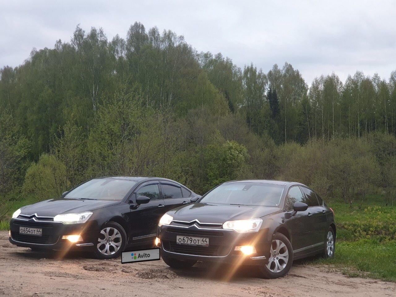 Citroen C5: фото владельца