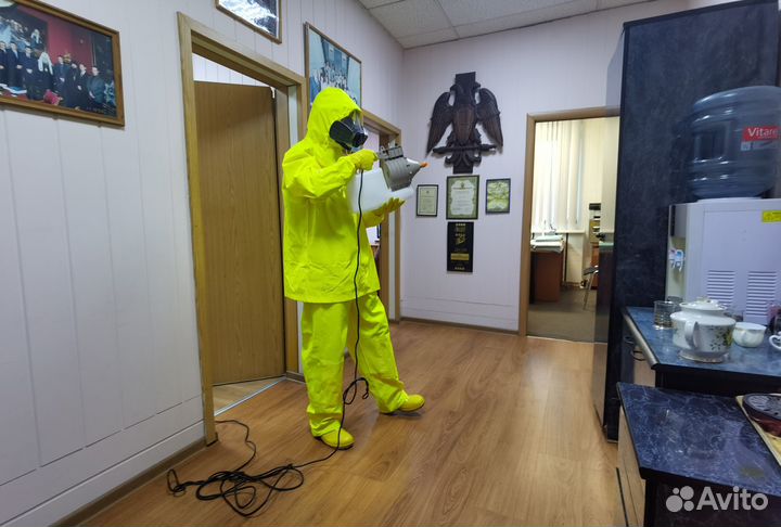 Клопы тараканы уничтожение