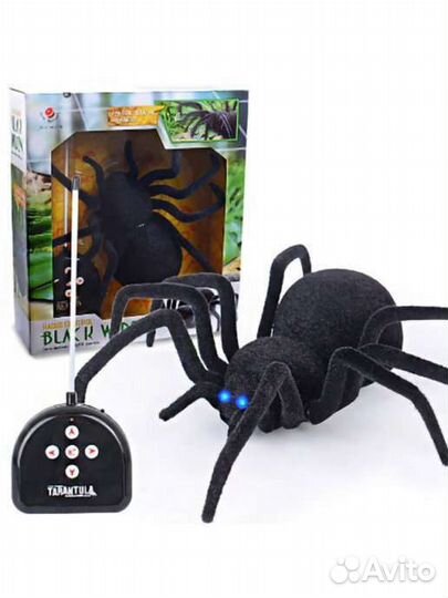 Паук на пульте управления
