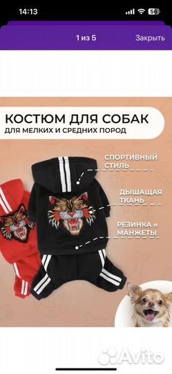 Костюм для собак