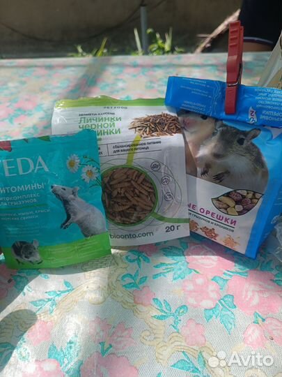 Клетка для грызунов большая