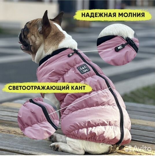 Жилетка для собак
