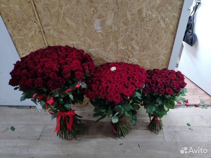 Роза букет розы букеты 51штук 101 штук