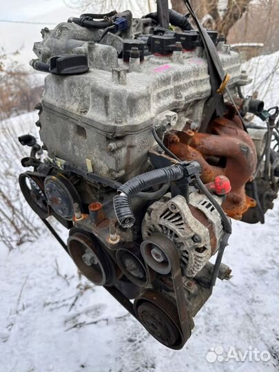 Двигатель QG15DE Nissan 1.5л контрактный