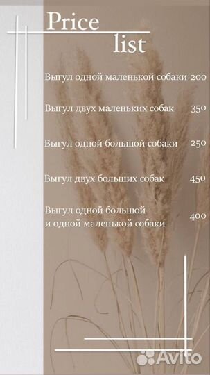 Выгул собак советский район