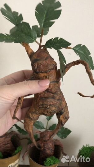 Мандрагора в горшке Гарри Поттер