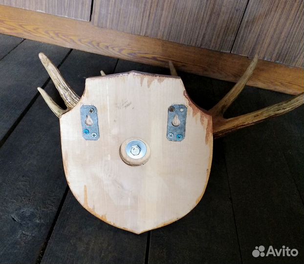 Вешалка из рога лося