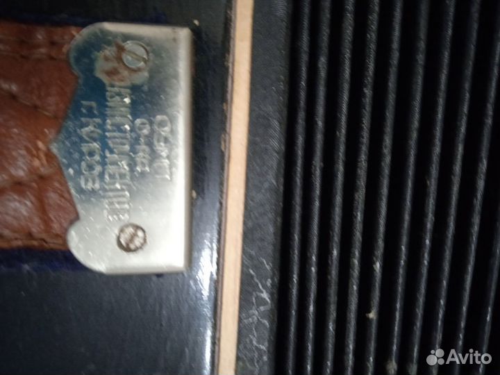 Баян Кировской