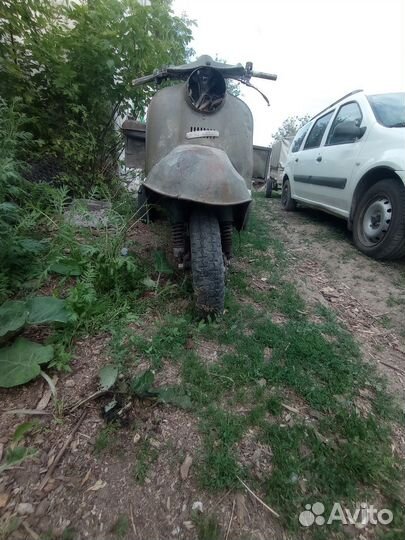 Продам муровей