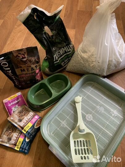 Кошачий лоток, наполнитель, миска, корм, лопатка