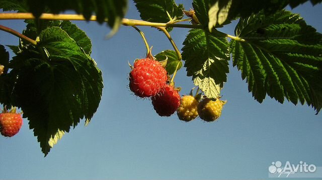 Фотокартины - Природа (Photo pictures - Nature)