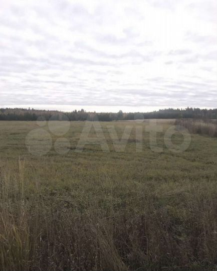 Участок 20 сот. (ИЖС)