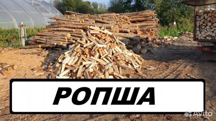 Дрова береза Ропша