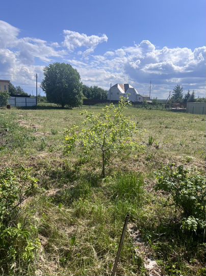 Участок 16 сот. (ИЖС)