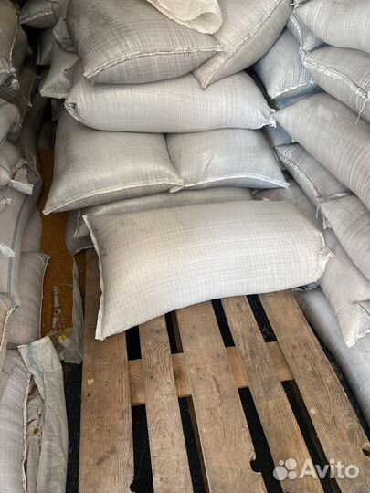 Семена горчицы