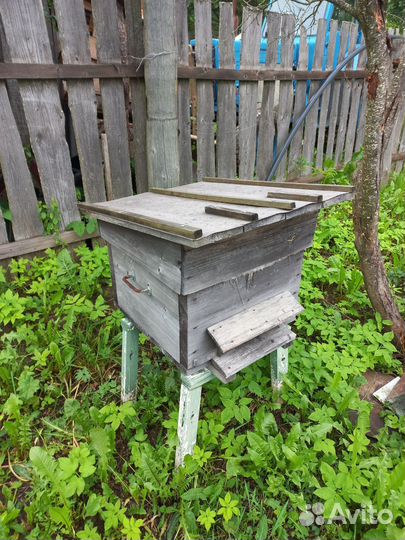 Улей для пчел бу