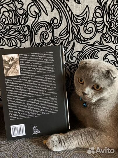 Гоголь, мертвые души, 2 тома в одной книге