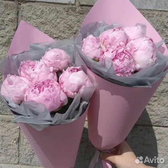 Пионы голландия розовые букет цветы доставка спб