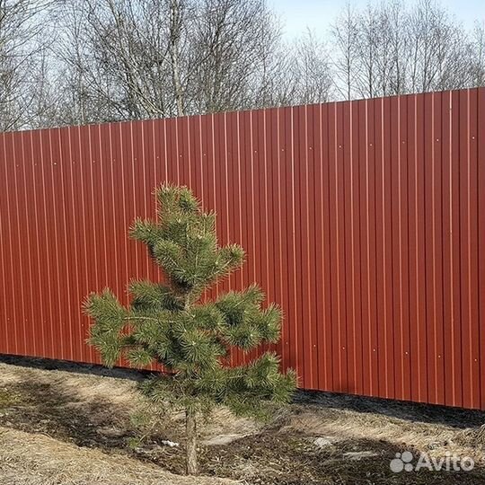 Забор из профнастила