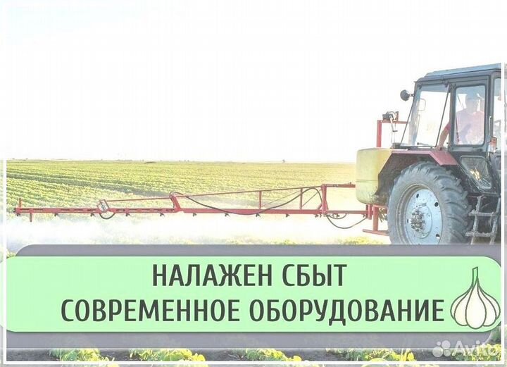 Инвестор/ Пассивный доход до 50%