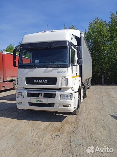 КамАЗ 5490 NEO 2, 2021